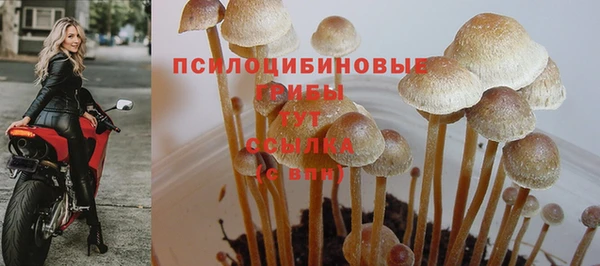 дживик Семёнов